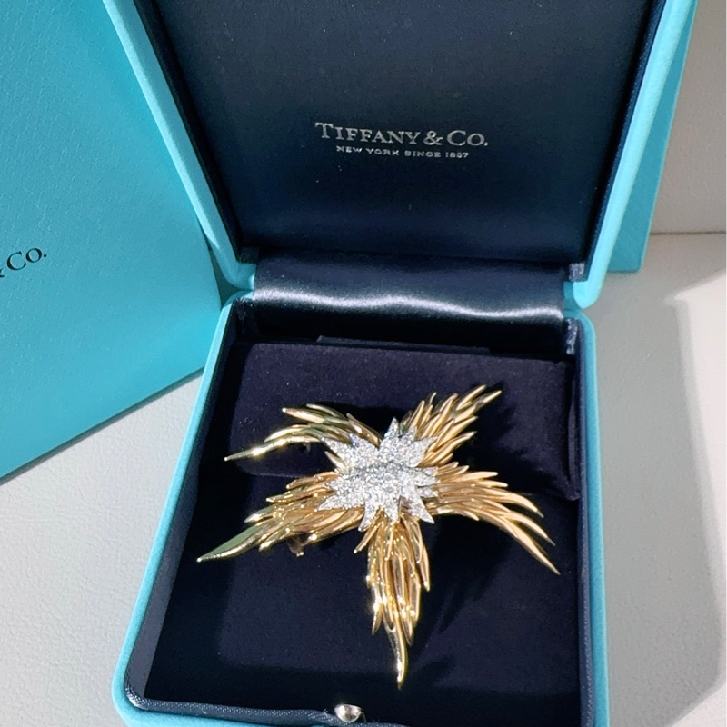 Tiffany蒂芙尼 高级珠宝史隆伯杰系列 黄金满钻火焰胸针-1