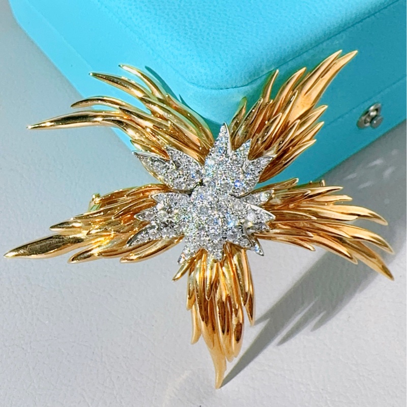 Tiffany蒂芙尼 高级珠宝史隆伯杰系列 黄金满钻火焰胸针-6