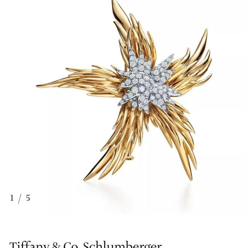 Tiffany蒂芙尼 高级珠宝史隆伯杰系列 黄金满钻火焰胸针-7
