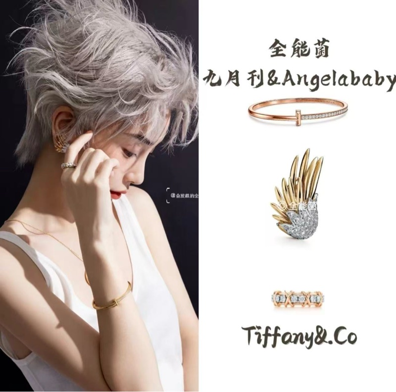 Tiffany蒂芙尼 高级珠宝史隆伯杰系列 黄金满钻火焰耳环-7