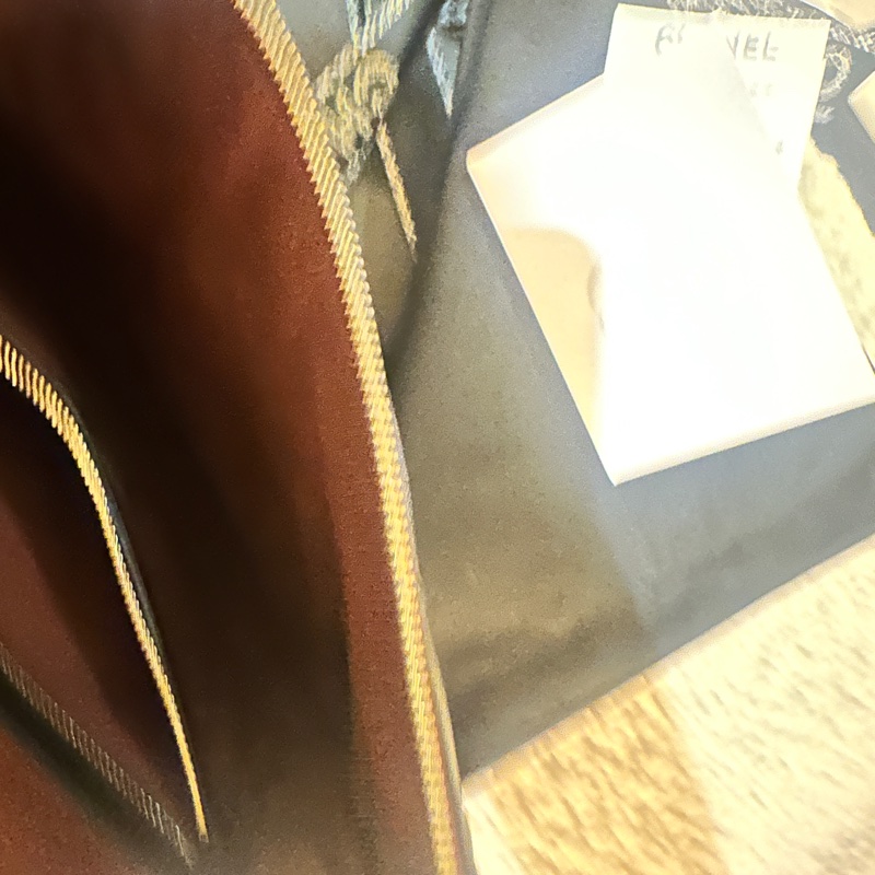 Chanel 大手拿包-2