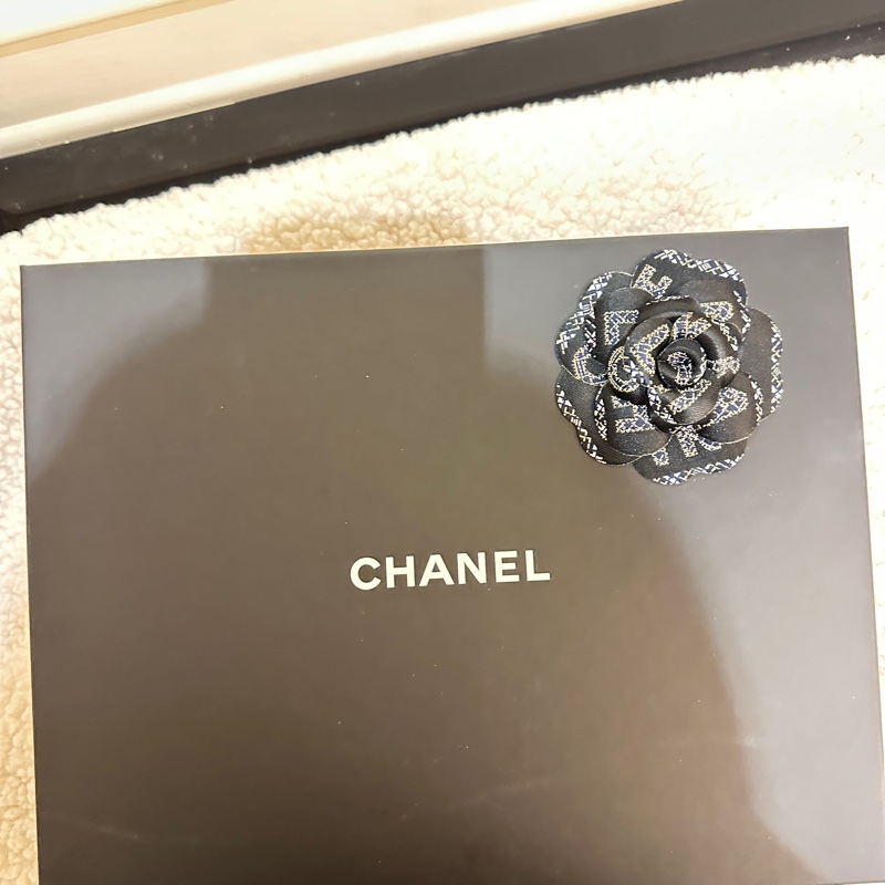 Chanel 大手拿包-6