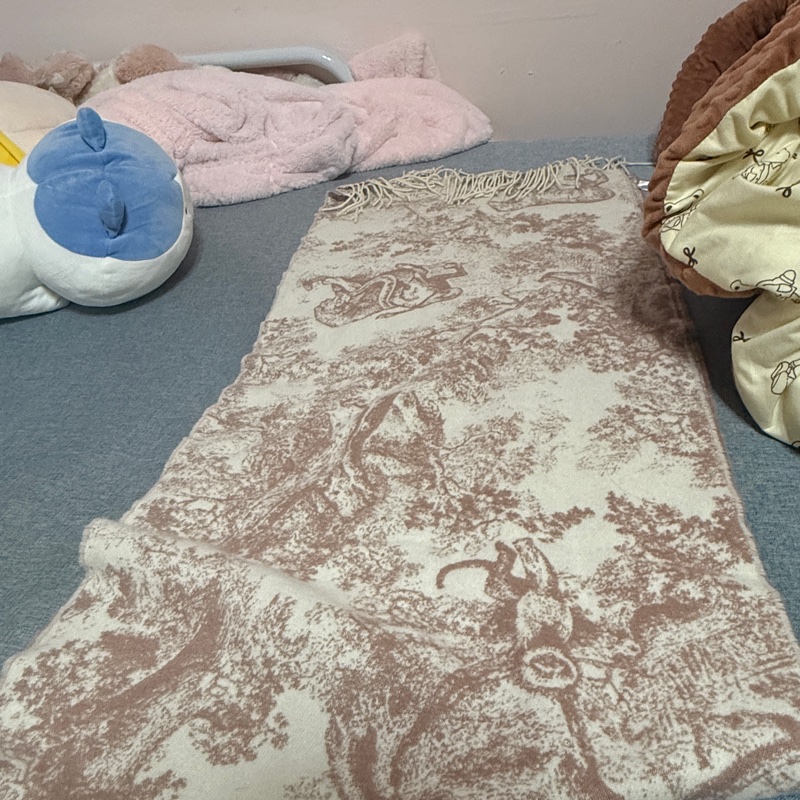 Dior Toile de Jouy Sauvage 圍巾-2