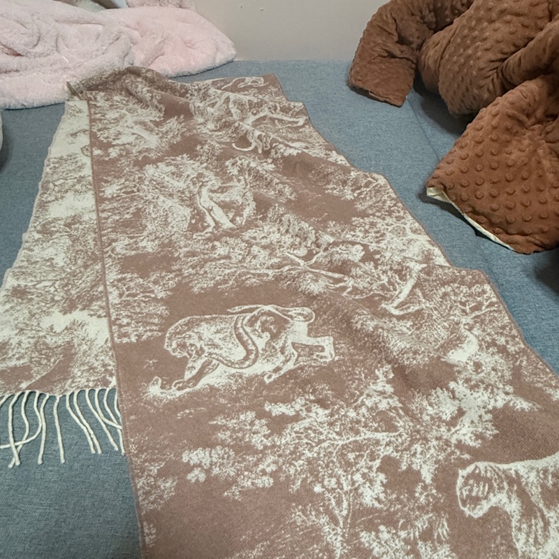 Dior Toile de Jouy Sauvage 圍巾-3