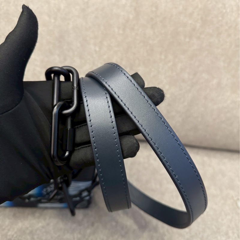 LV soft trunk 限定配色-8