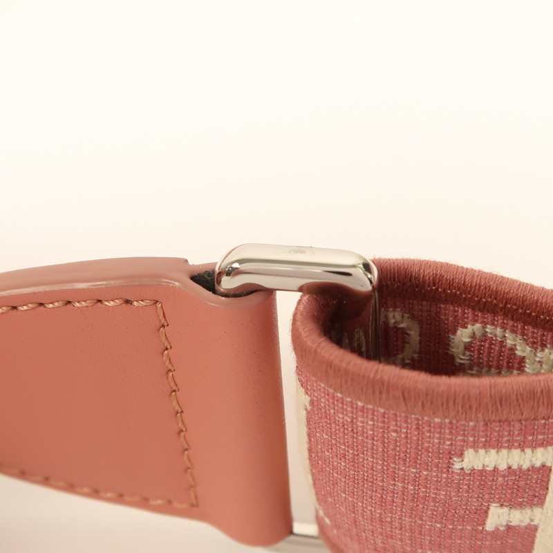 LOEWE 牛皮皮革Mini Gate銀扣肩背袋-13