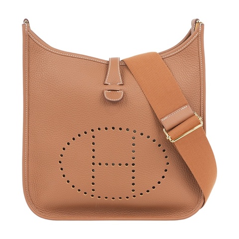 金釦 Evelyne 29 斜背包 (金棕色)