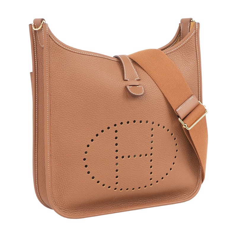 金釦 Evelyne 29 斜背包 (金棕色)-1