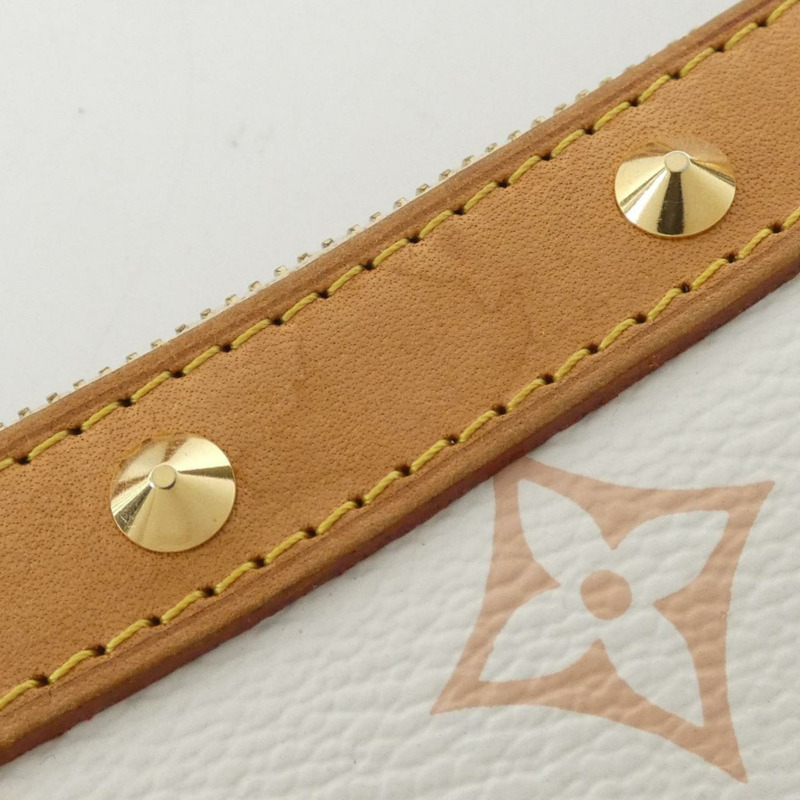 路易威登 多色 Pochette Accessoires M92649 配件袋-3