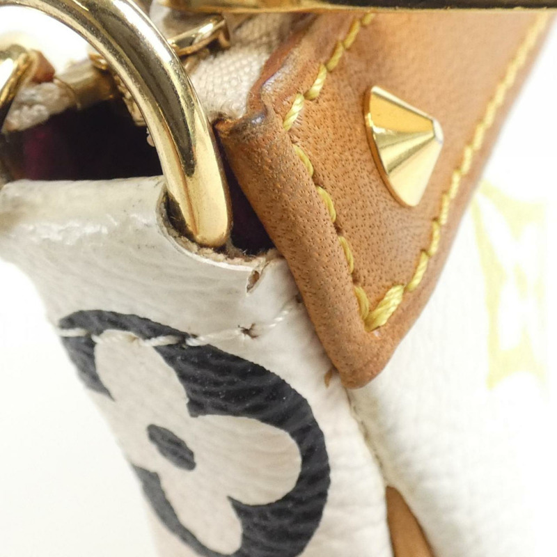 路易威登 多色 Pochette Accessoires M92649 配件袋-5