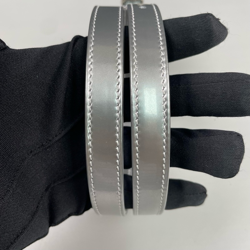 Dior迪奧 限量銀色全皮小熊mini戴妃包 尺寸約14*12*6cm。-8