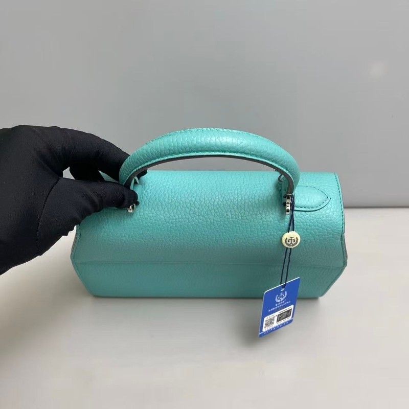 Moynat rejane中號馬卡龍藍牛皮 肩背包-5
