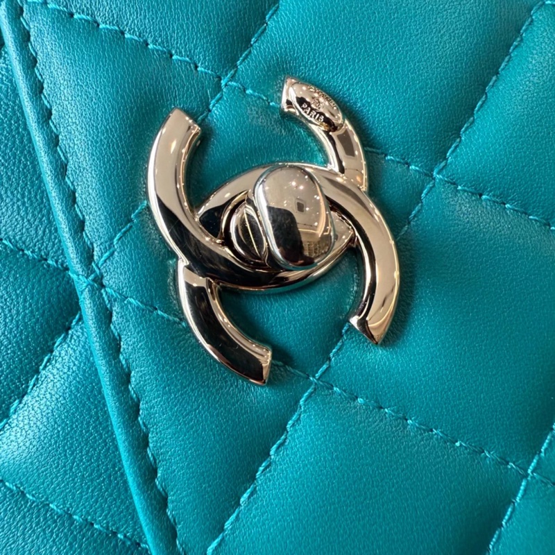 Chanel  trendy mini-3