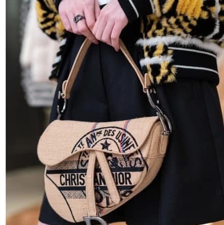 Dior Saddle bag 棉麻馬鞍包-1