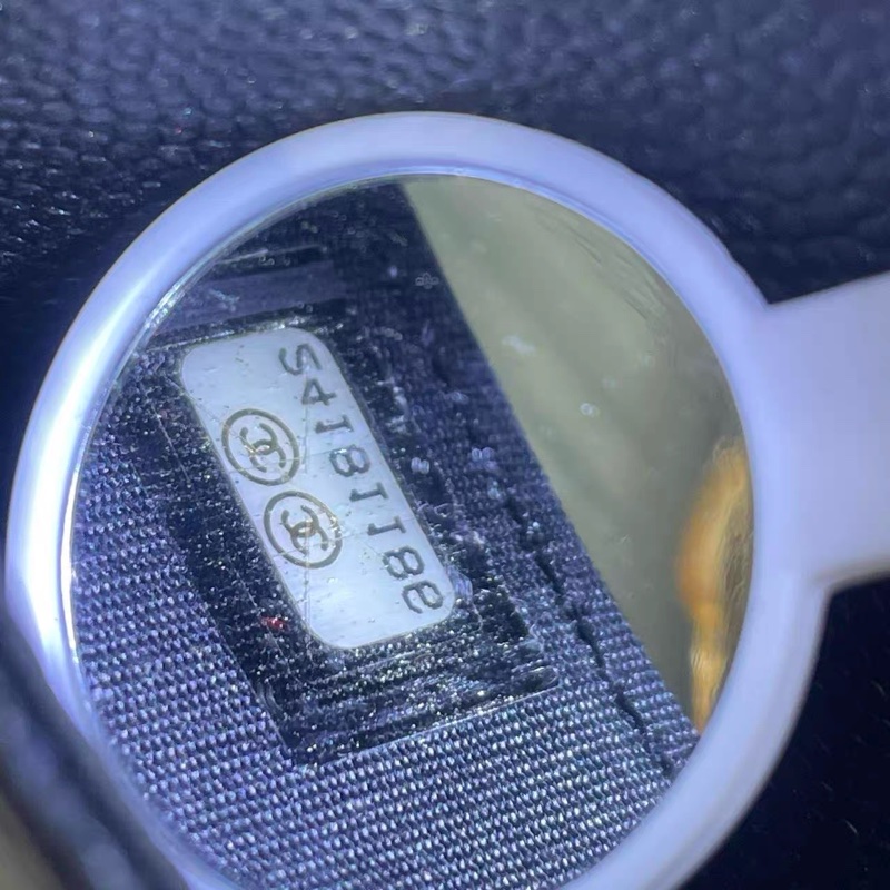 CHANEL LEBOY WOC CLASSIC-20