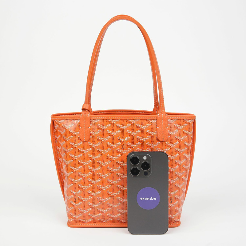 GOYARD Anju迷你手提包-8