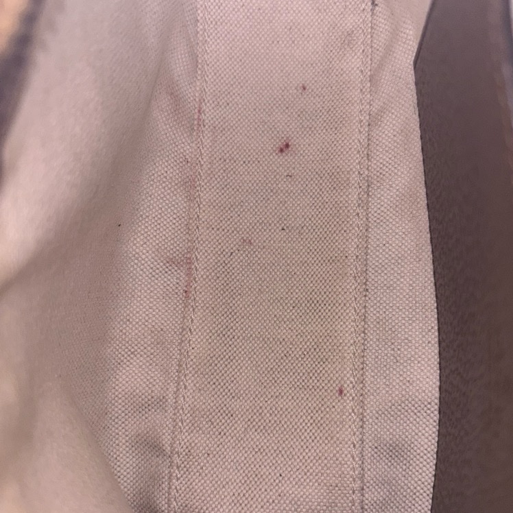 Gucci Ophidia麻將草莓包-17