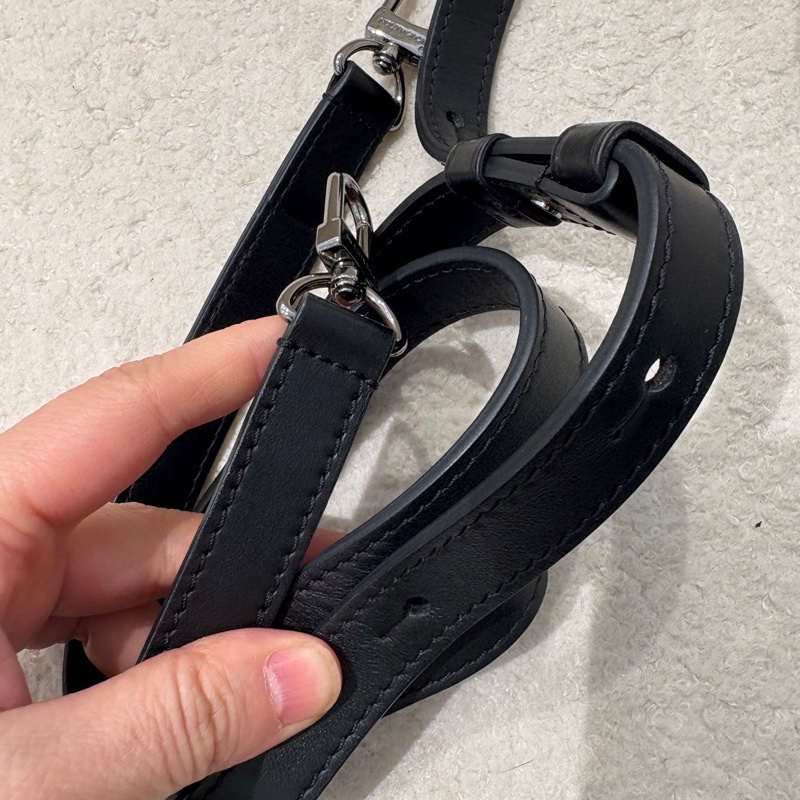 LV steamer nano 黑色老花 芯片款 98新配件塵袋-2