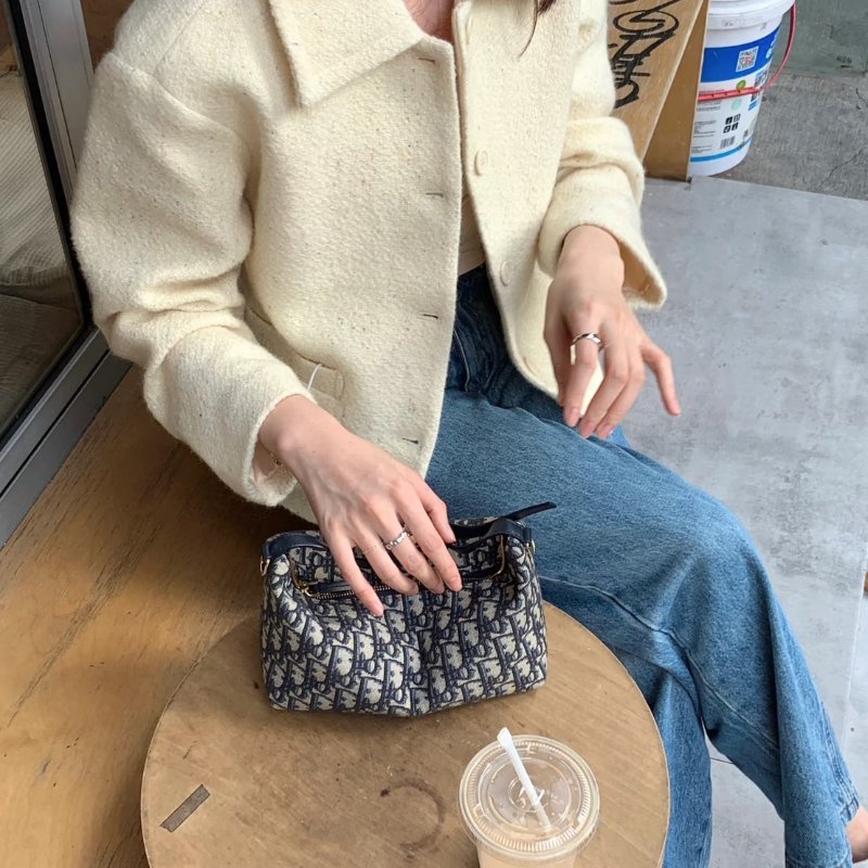 DIOR Travel nomad 手提飯盒包-9