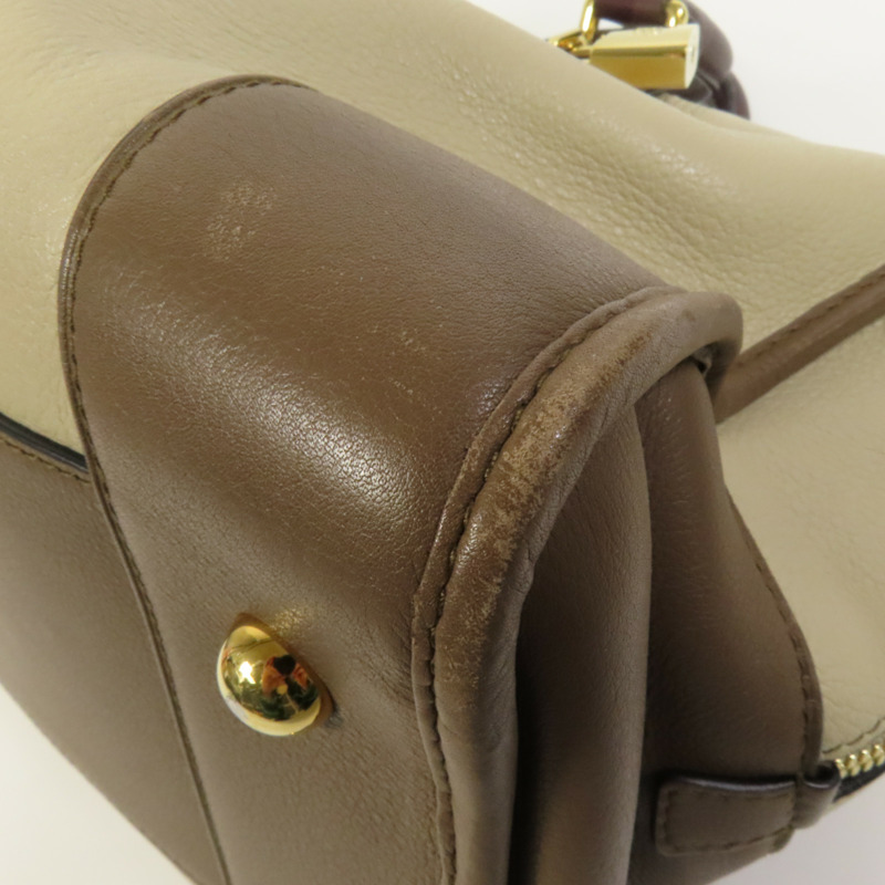 LOEWE 牛皮皮革Amazona 28金扣手挽袋-12