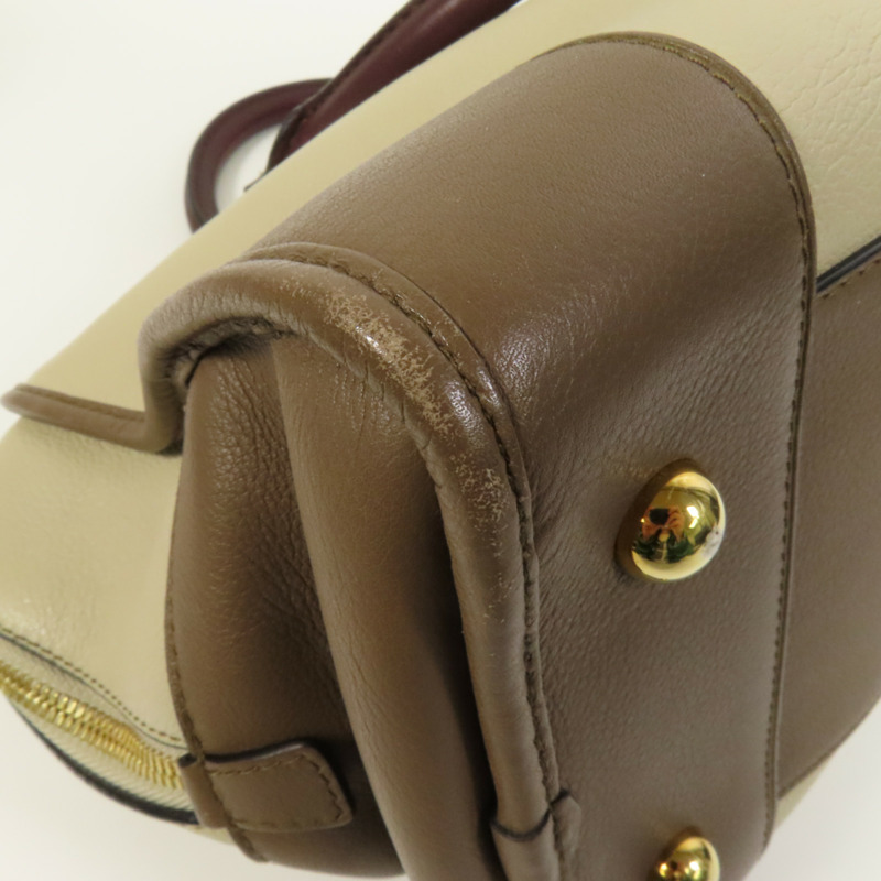 LOEWE 牛皮皮革Amazona 28金扣手挽袋-13