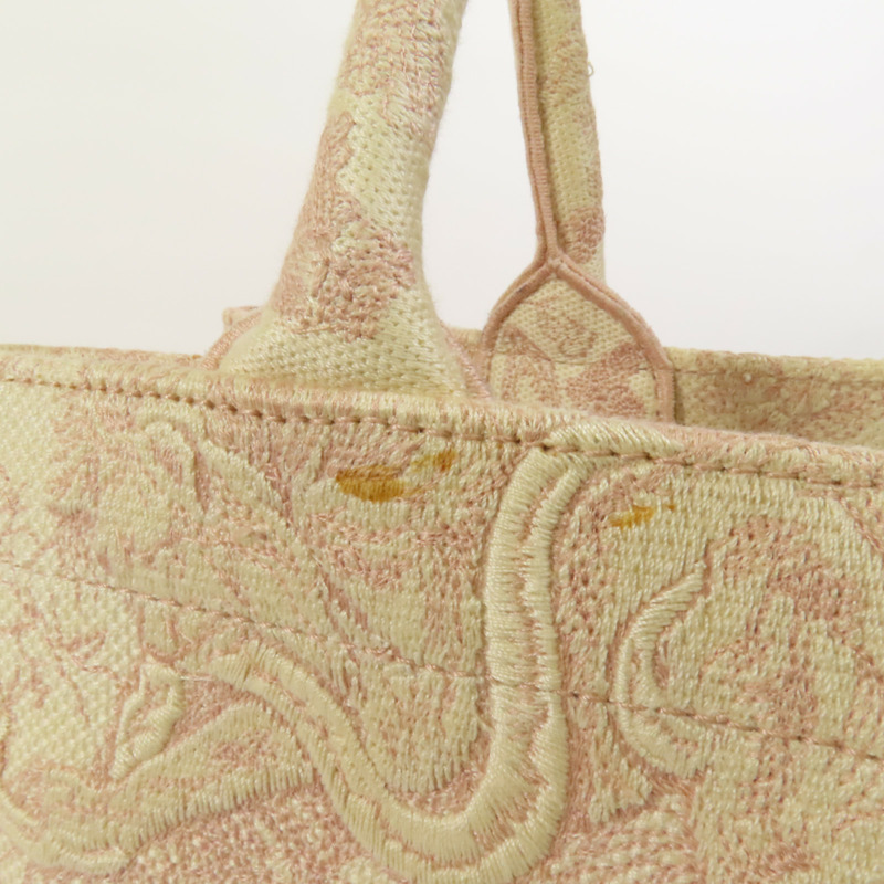 Dior 帆布Book Tote Medium手挽袋-6