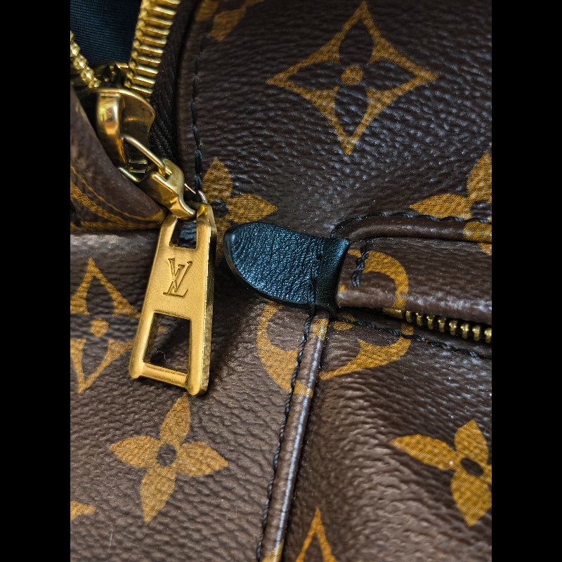 LV路易威登 palm springs老花後背包 小號-17