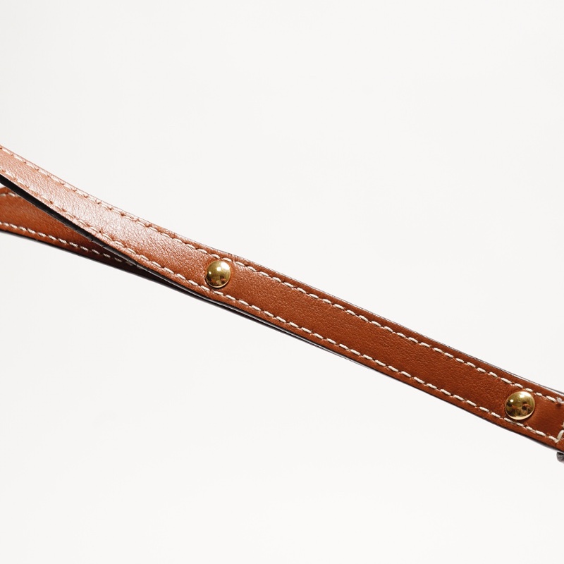 CELINE TRIOMPHE帆布平滑羊皮STRAP斜背包-5