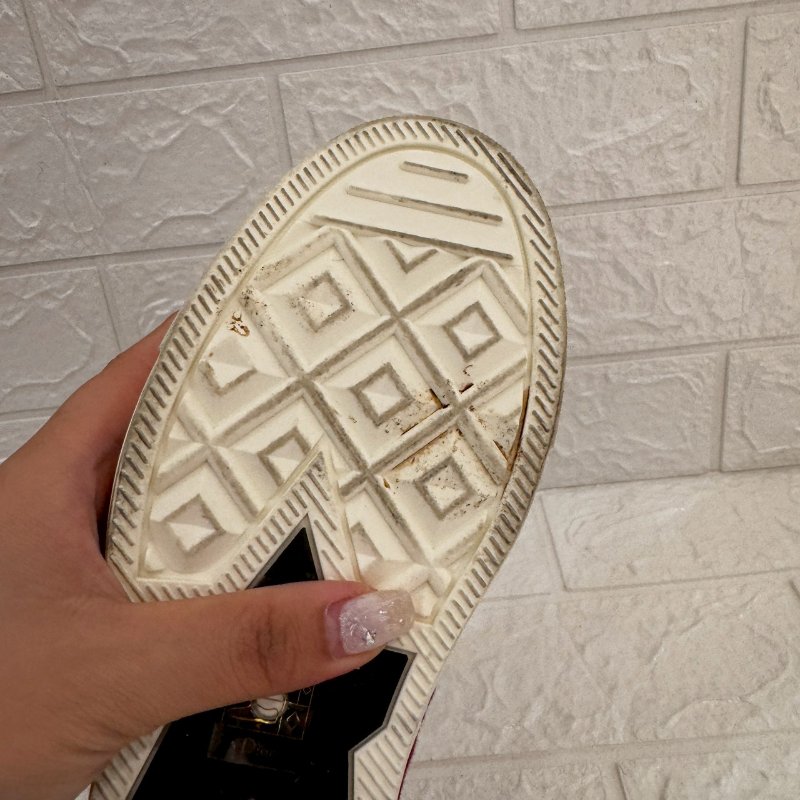 Dior Walk'n'Dior 紅緹花帆布鞋-13