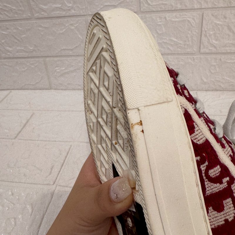 Dior Walk'n'Dior 紅緹花帆布鞋-15