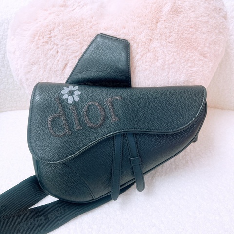 Dior saddle 黑色馬鞍包 ERL 聯乘