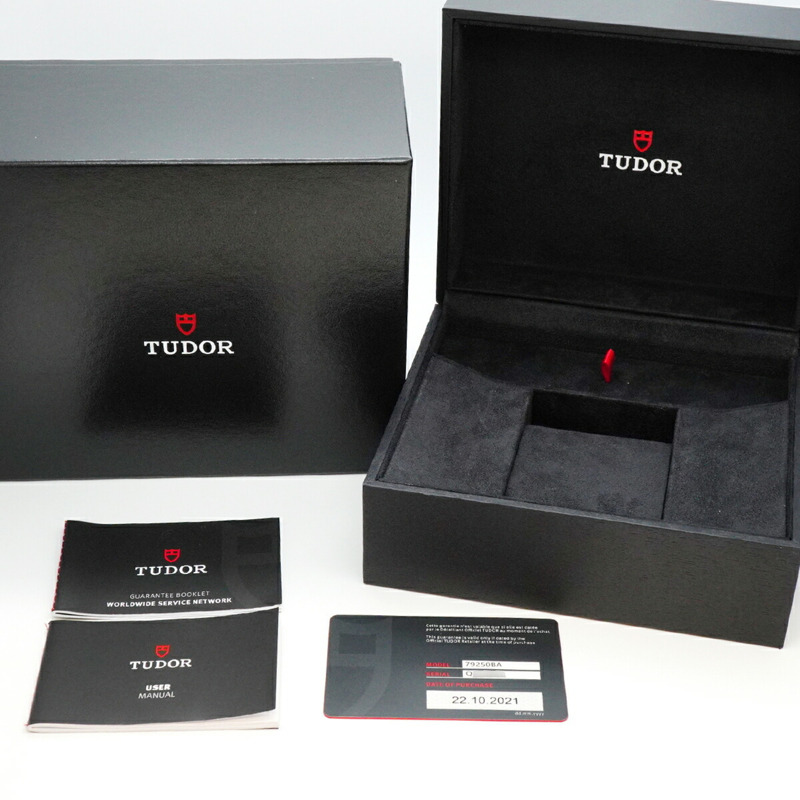 帝舵碧灣系列 79250BA 錶盤男士腕錶-1