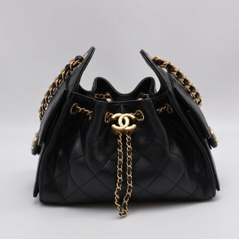 CHANEL 25 Mini hobo bag - 小號黑金