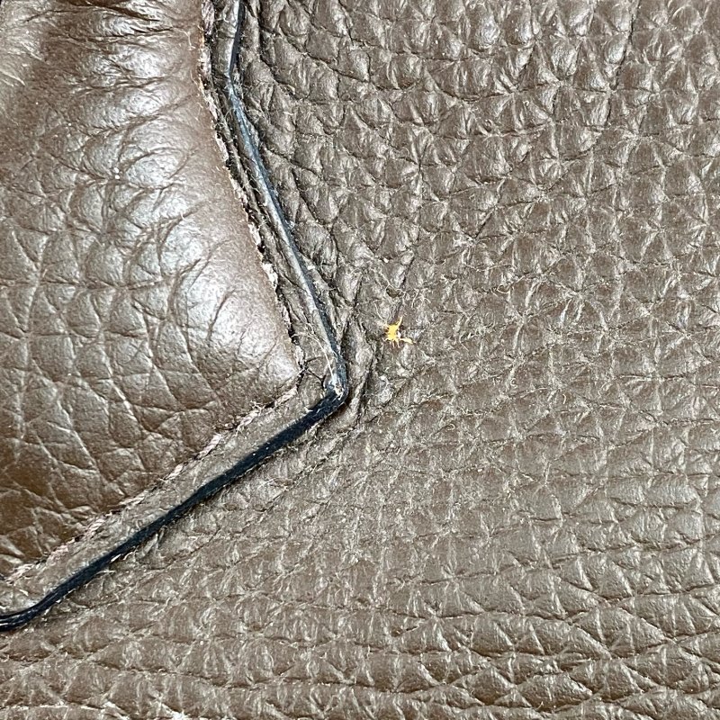 △ Hermes 愛馬仕 Brown Clemence Calfskin Palladium Plated Metal Victoria 35 Shoulder Bag Stamp [O] 啡色粒紋小牛皮鍍鈀金屬肩背袋[O]刻 - 257022416-13