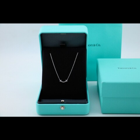 Tiffany 白金mini滿鑽小u項鍊