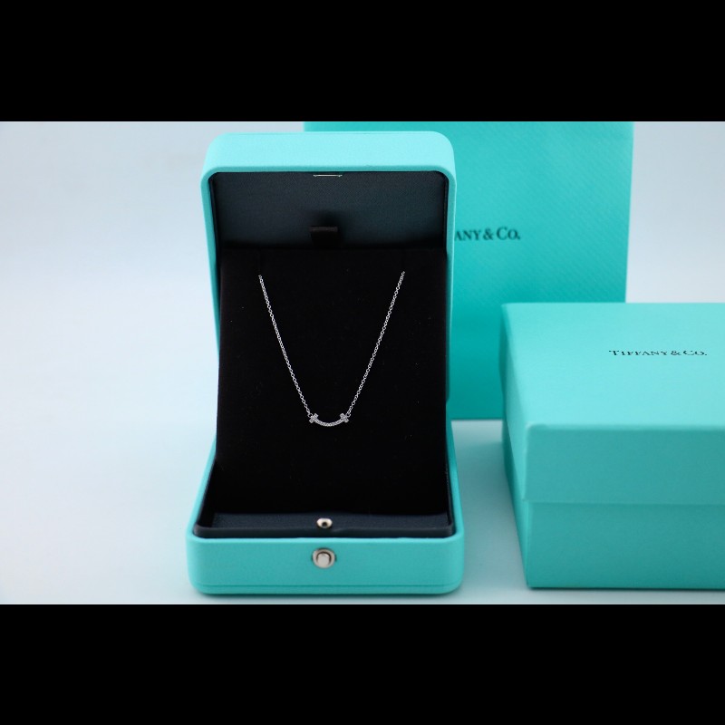 Tiffany 白金mini滿鑽小u項鍊-0