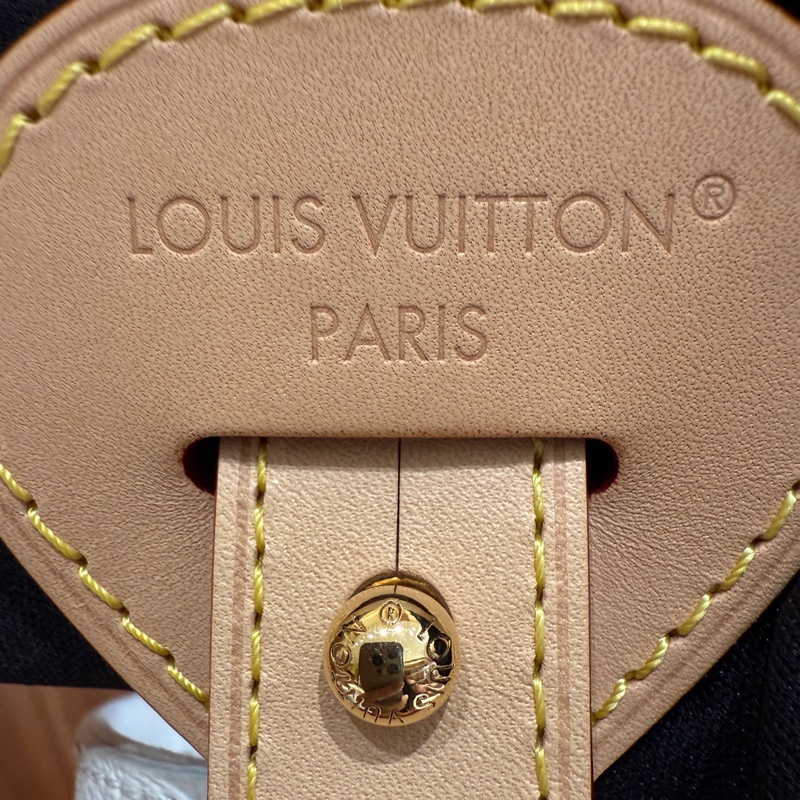 Louis Vuitton x TM All In BB 村上隆白三彩水桶包-4