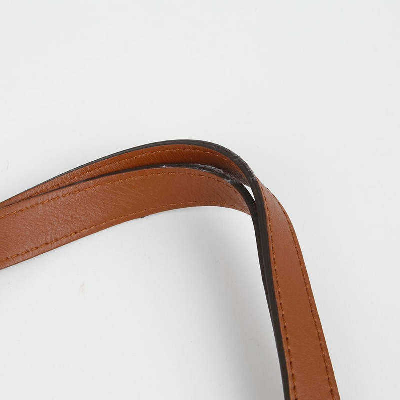 LOUIS VUITTON 海豚迷你肩斜背包 M44580-6