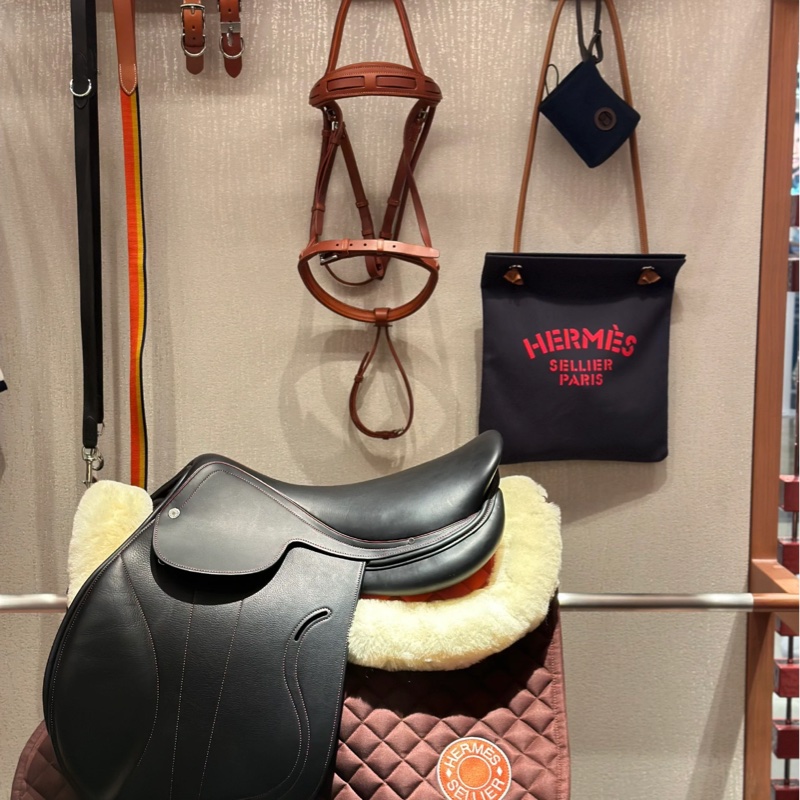 Hermes Aline 帆布馬伕包-0