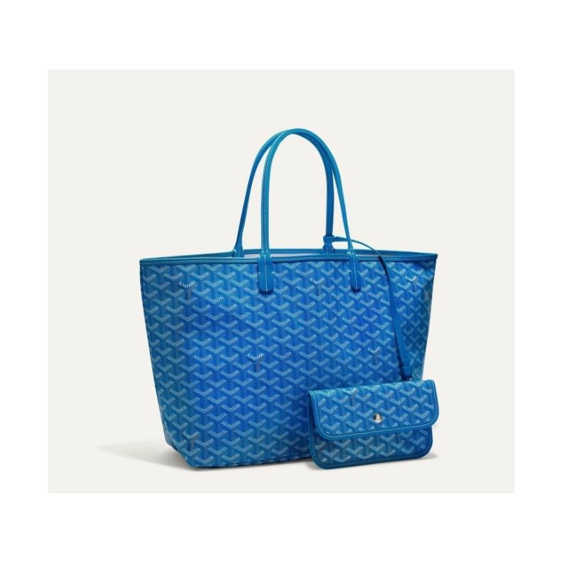 GOYARD 聖路易包 PM 特別版 所有顏色-19