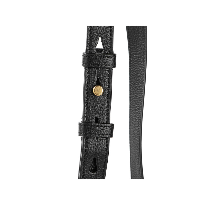 SAINT LAURENT 24FW 女士奈米手提包-10