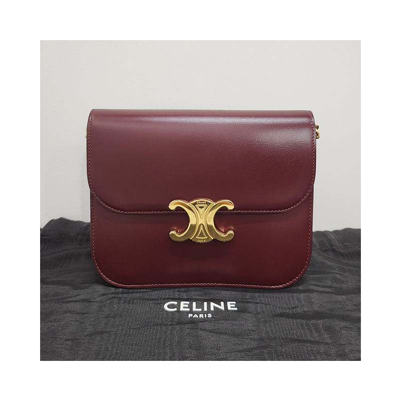 CELINE Triope Logo College Bag Medium Dark Burgundy (113583BF4 28RB)-13