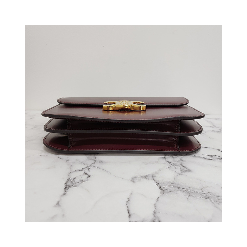 CELINE Triope Logo College Bag Medium Dark Burgundy (113583BF4 28RB)-17