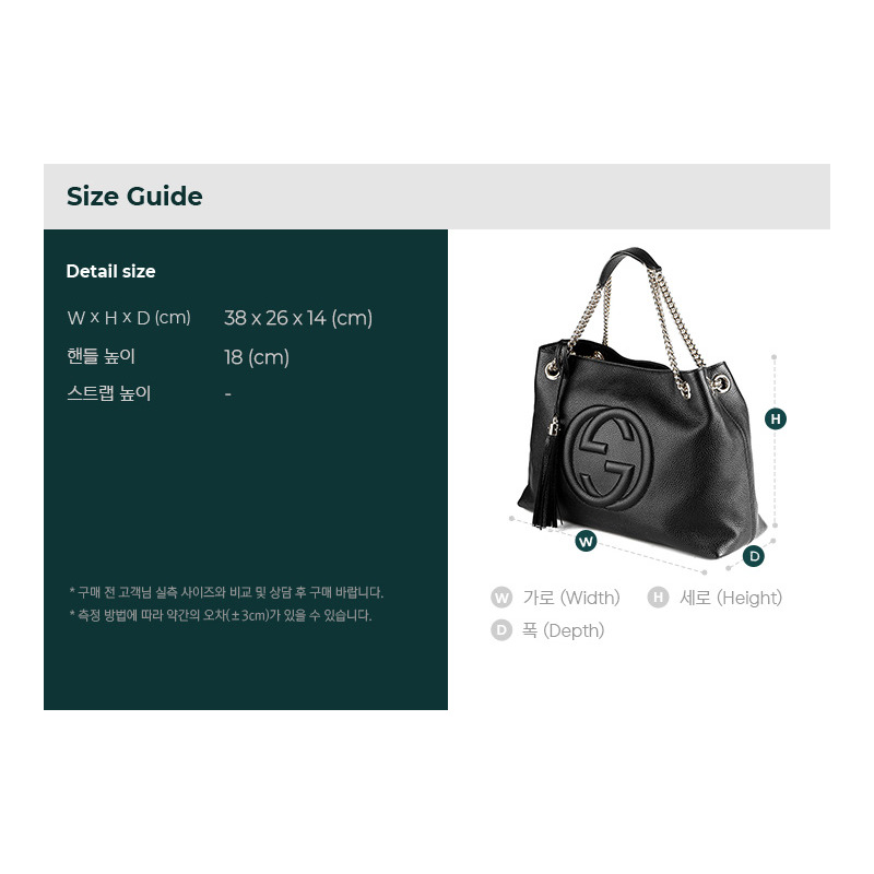 GUCCI 25SS 肩背包-2