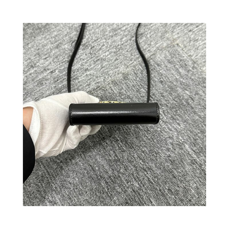 CELINE 金屬凱旋標誌亮面小牛皮手機袋 10K683DPV 38NO-4