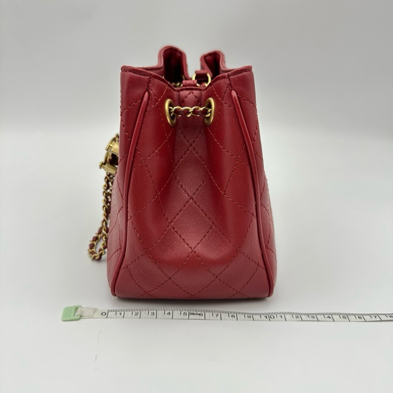 CHANLE香奈儿 纽约埃及系列 sac hobo mini-3