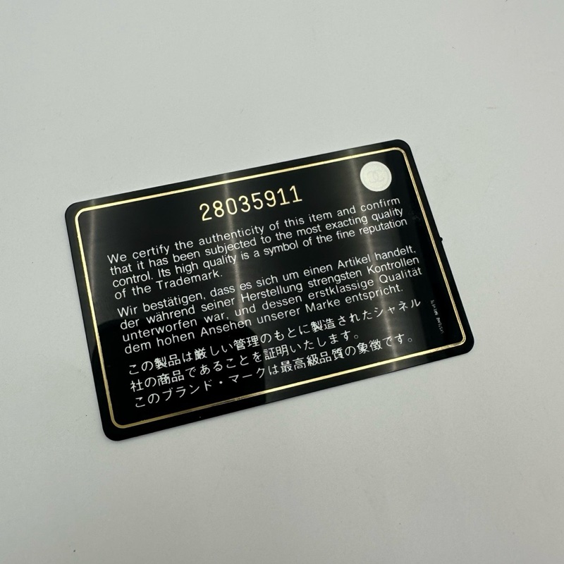 CHANLE香奈儿 纽约埃及系列 sac hobo mini-7