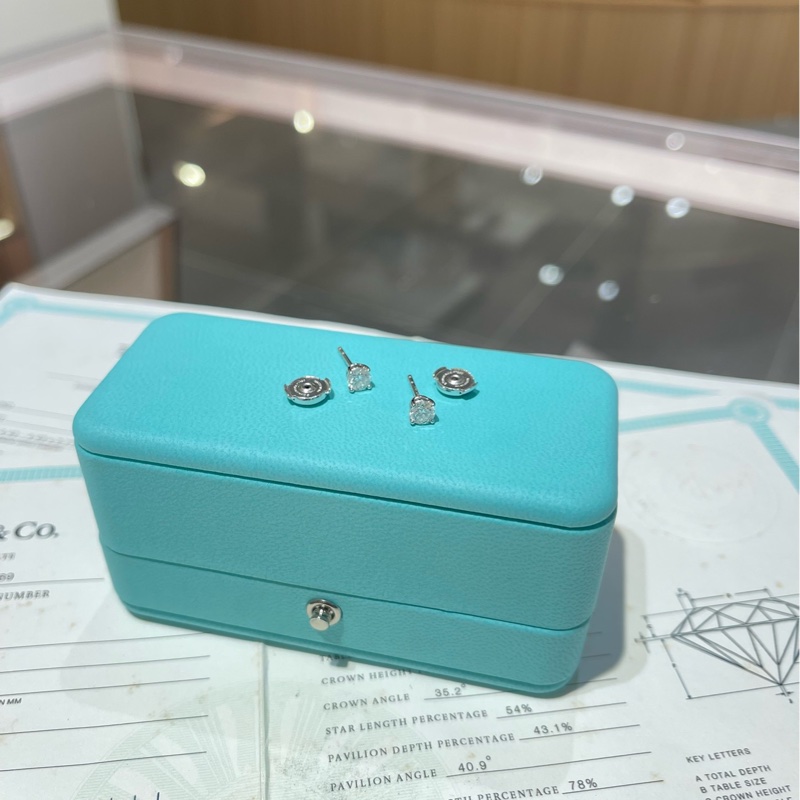 Tiffany蒂芙尼Solitaire系列 铂金钻石耳环-5