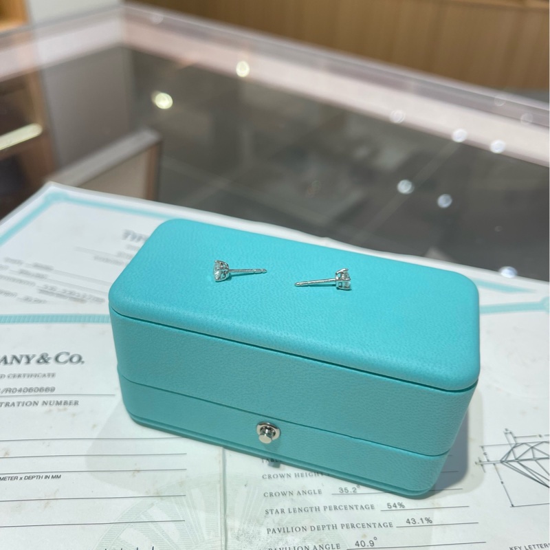 Tiffany蒂芙尼Solitaire系列 铂金钻石耳环-6