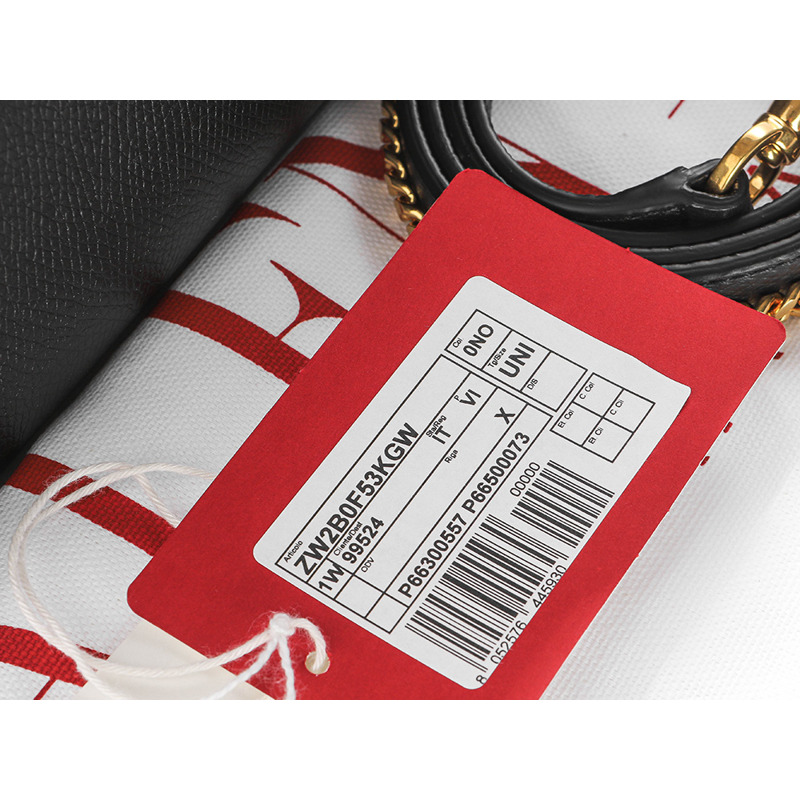 VALENTINO 24FW 女士手提包-19